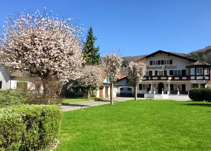 Hotel Gasthaus Adler