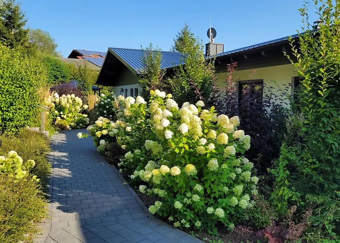 Hotel nahe College: BayVista, die Bayerwald Lodge