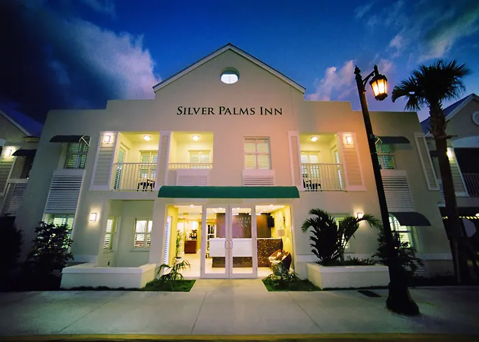 Silver Palms