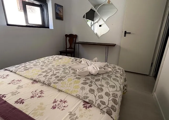 Gästehaus: Tenerife Experience Hostel