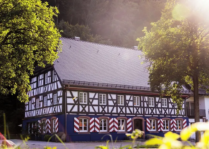 Familienhotel: Schwarzwaldgasthof Hotel Schlossmühle