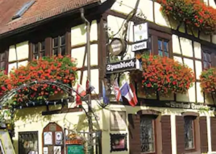 Haustierfreundliches Hotel: Spundloch- das Hotel&Weinrestaurant
