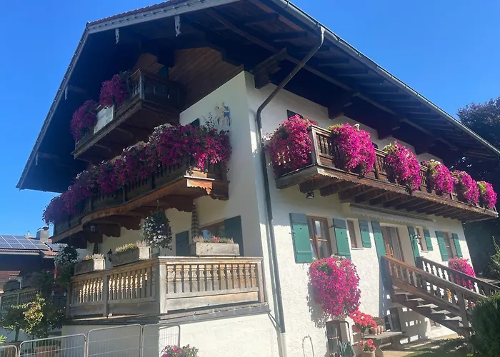 Hotel nahe College: Gästehaus Baier am Bad
