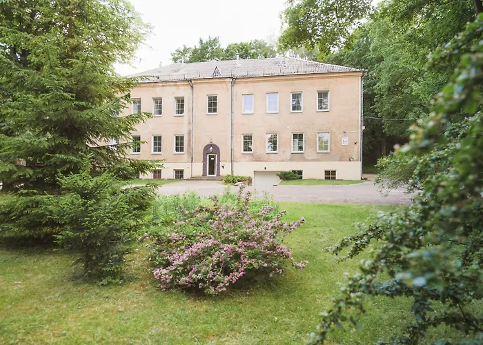 Herberge: Downtown Forest Hostel & Camping