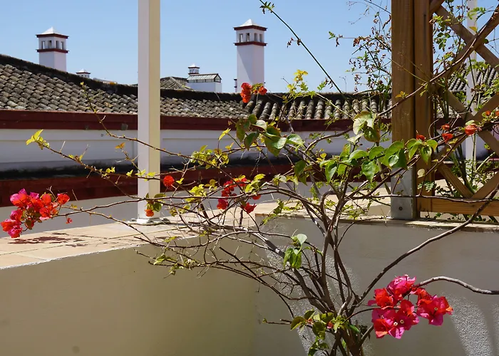 Herberge: Black Swan Hostel Sevilla