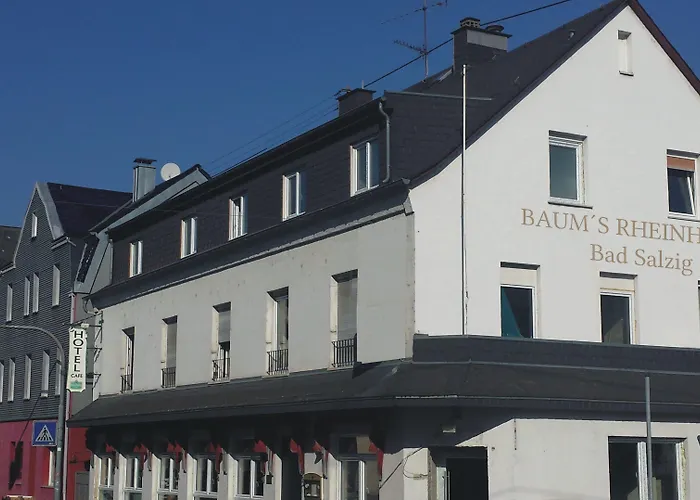 Baum´s Rheinhotel
