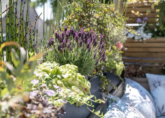 Haustierfreundliches Hotel: Le Vivier