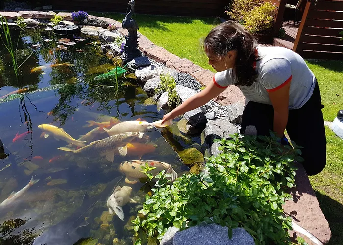 Hotel mit Aussicht: Ferie Pa Toppen