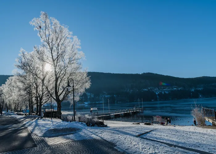 Luxushotel: Hotel Bären Titisee