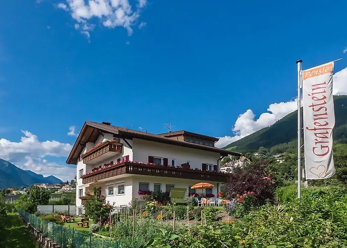 3 SterneHotel Pension Grafenstein