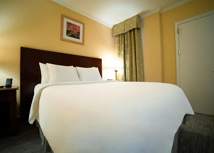 3-Sterne-Hotel: Hotel Stanford