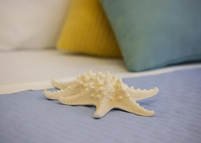 Strandhotel: Elisabetta Hotel