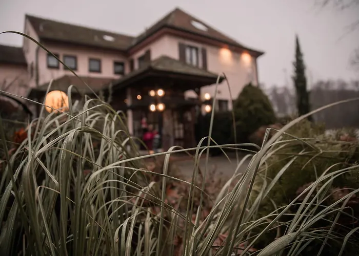 Familienhotel: Pension Hubertushof