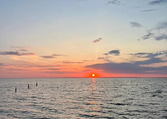 Ocean