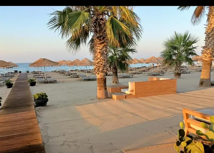Ayvalik Cinar