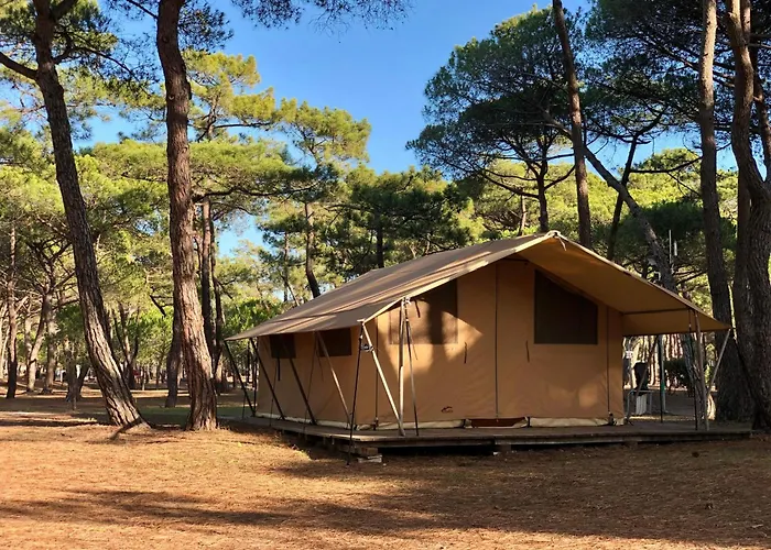 Hotel Am Strand La Tamarissiere