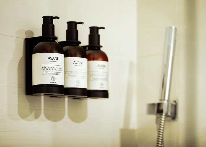 4-Sterne-Hotel: Avani Rio Novo Venice Hotel