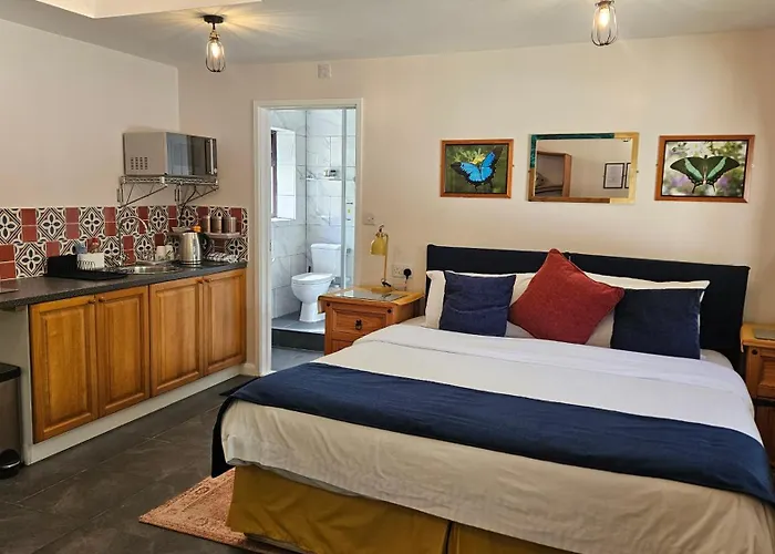 Gästehaus: Conifers Guest House