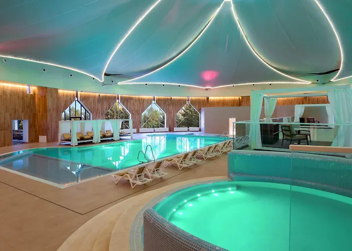 Swissôtel Wellness Resort Alatau