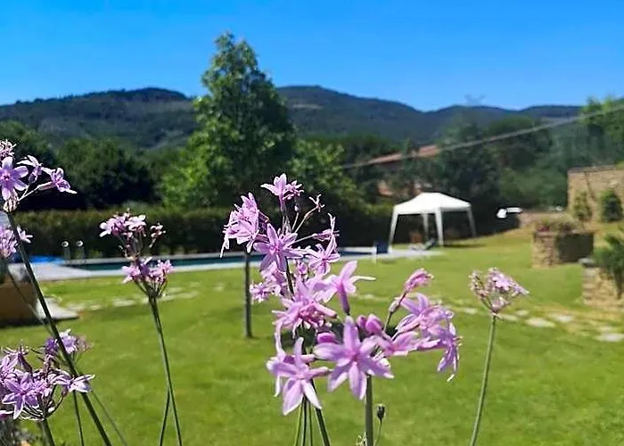 Alba Morus Bed & Breakfast Sentiti A Casa Nel Cuo