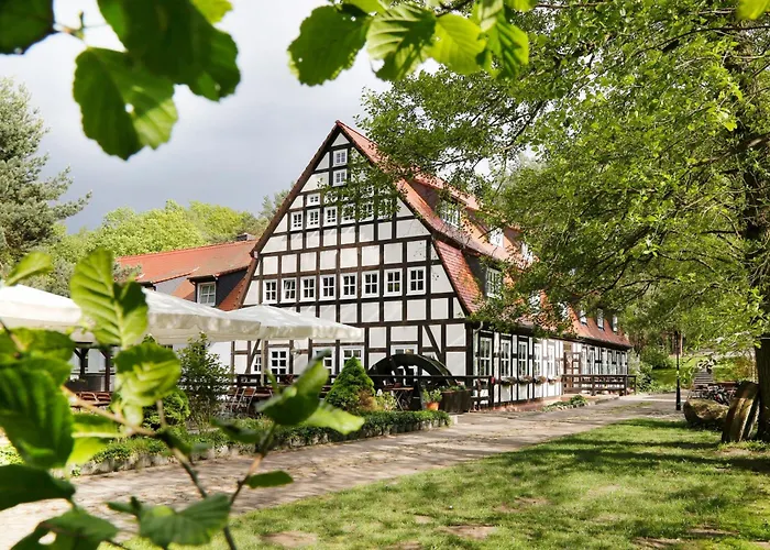 Springbach-Mühle