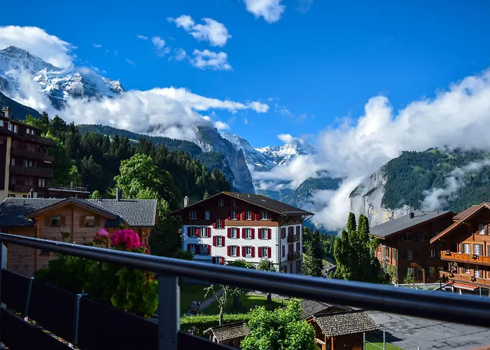 Alpenkräuter Bären