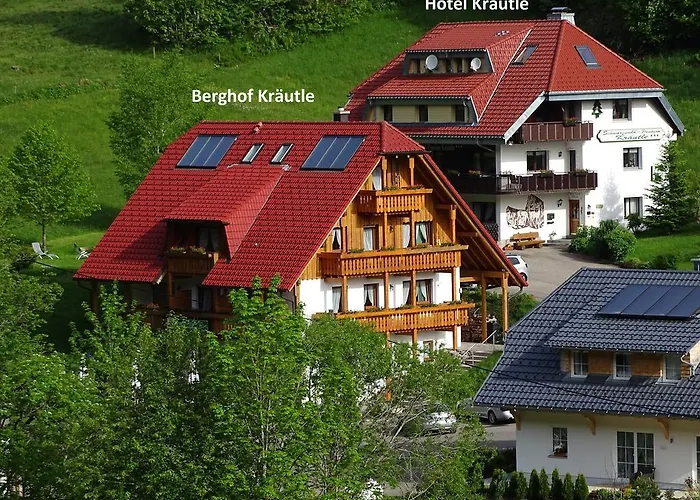 Schwarzwald Kräutle