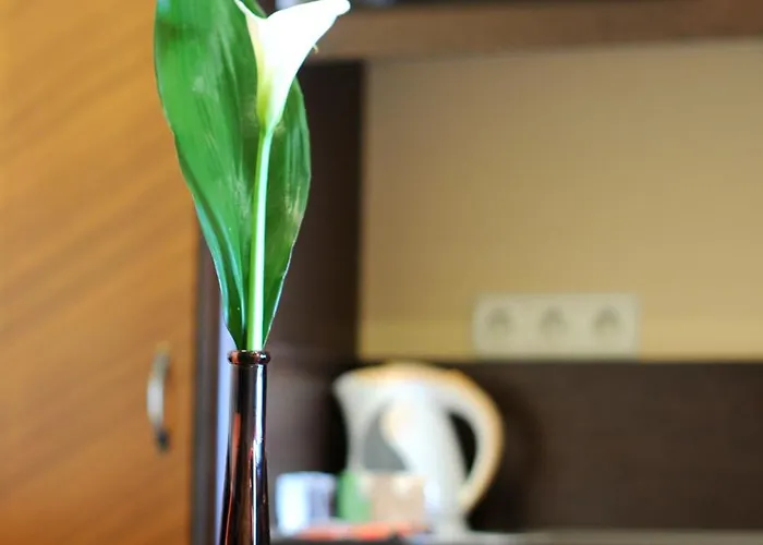 Luxushotel: Residence Baron