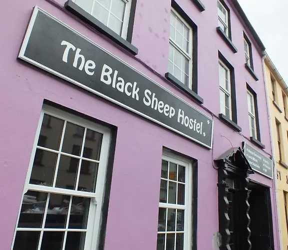  Black Sheep