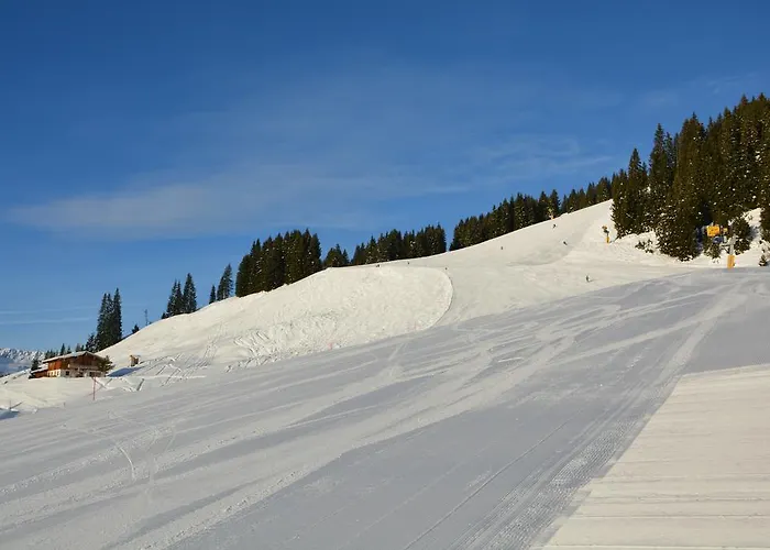 Haustierfreundliches Hotel: Wallegg Lodge - Alpine Premium Chalet - Ski In-Ski Out - Real Alpine Location Saalbach