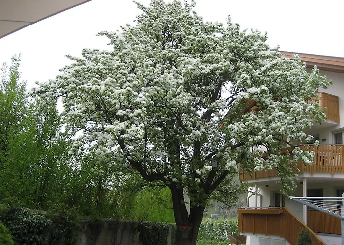 Garni Appartment Wagnerhof