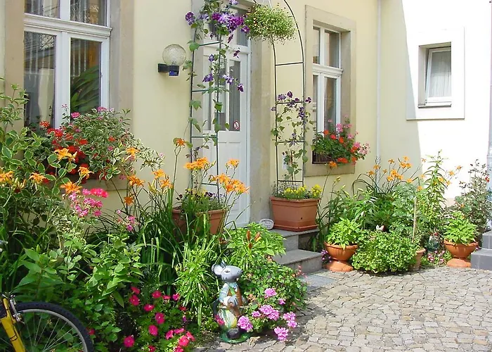 Günstiges Hotel: Pension Pieschen Dresden