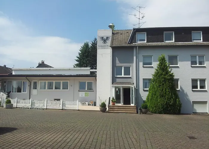 Schwarzer Adler