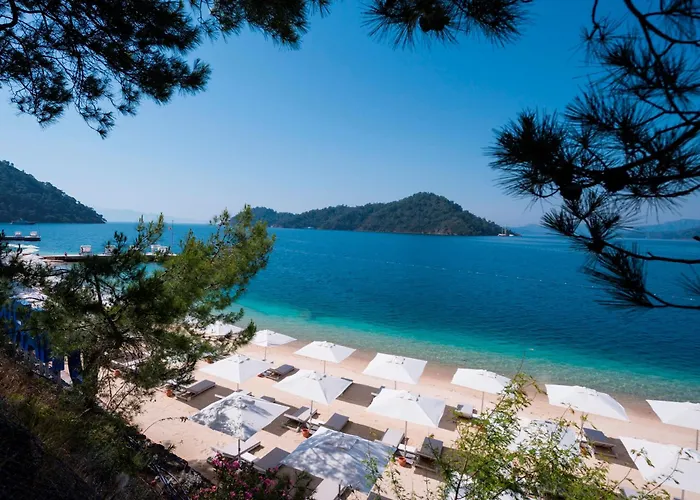 D-Resort