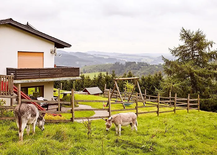 Familienhotel: Pension Haus am Einberg