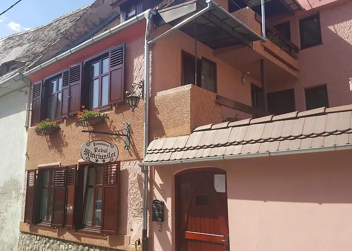  Pensiunea Podul Minciunilor