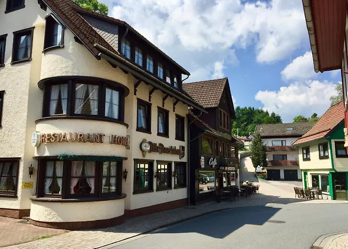 Alte Aue