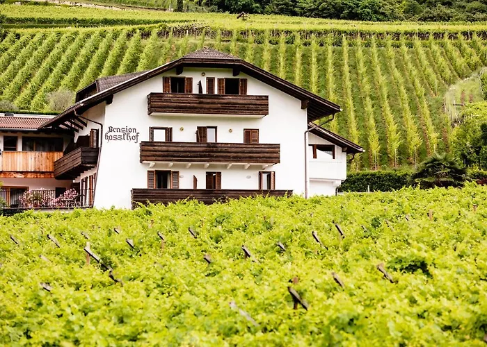 3 SterneHotel Pension Hasslhof