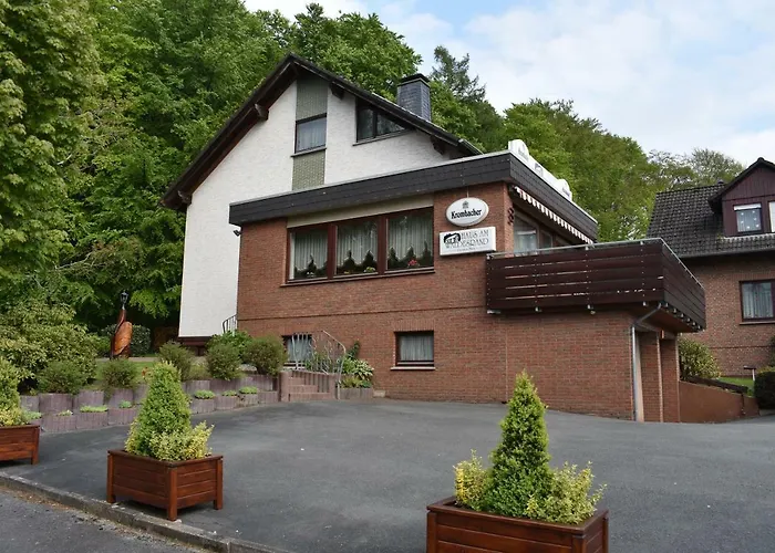 Hotel mit Aussicht: Pension Haus am Waldesrand
