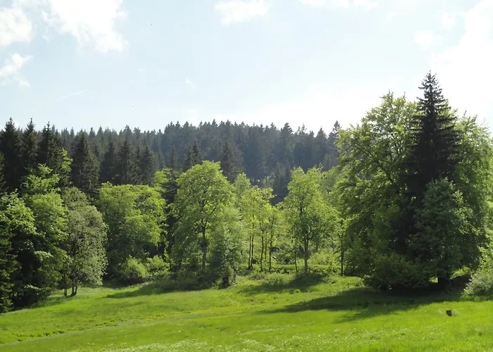 Obere Schweizerhütte