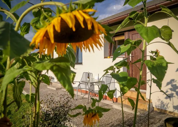 Pension Rauschberghof