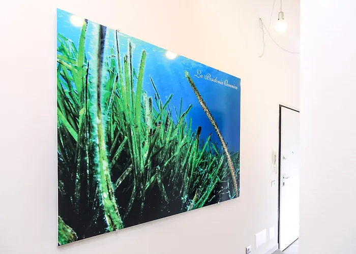 Familienhotel: La Posidonia Oceanica