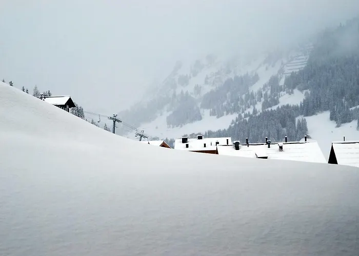 Haustierfreundliches Hotel: Pension Alpenfluh