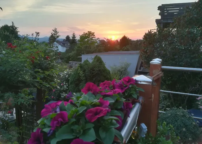 Appartment Fasanenhof Klinikum und Uni nah mit Netflix